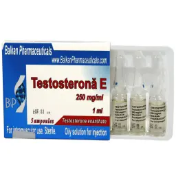 Testosterone E